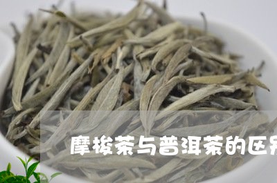 摩梭茶与普洱茶的区别/2023100747250