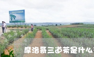 摩洛哥三道茶是什么茶/2023071473937