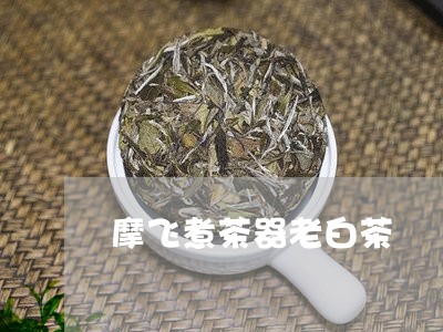 摩飞煮茶器老白茶/2023062051736