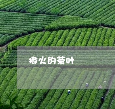 撤火的茶叶/2023041745682