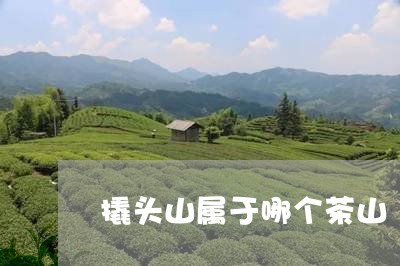 撬头山属于哪个茶山/2023042214138