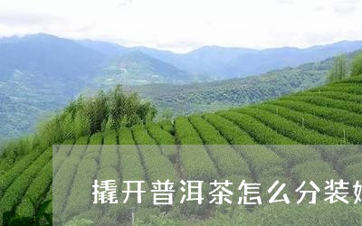 撬开普洱茶怎么分装好/2023120640715