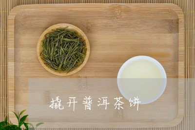 撬开普洱茶饼/2023042795941