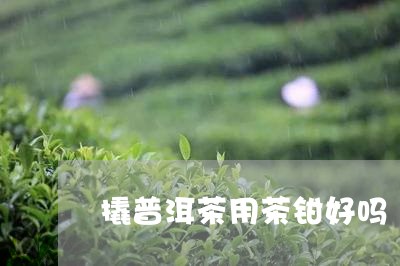 撬普洱茶用茶钳好吗/2023120509947