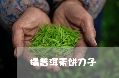 撬普洱茶饼刀子/2023102658260