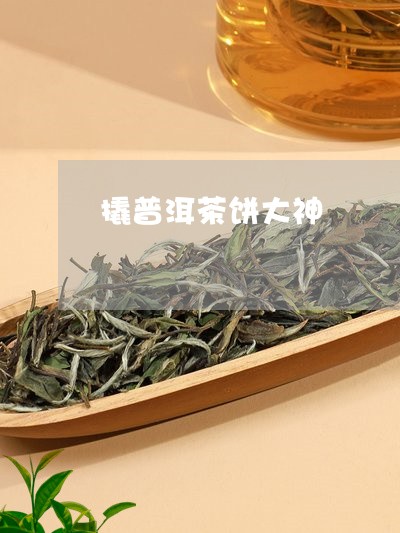 撬普洱茶饼大神/2023101682706