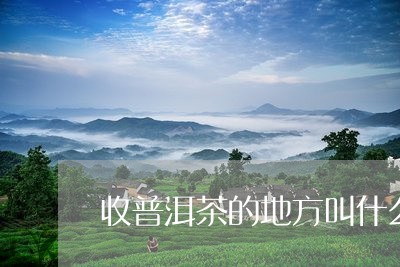 收普洱茶的地方叫什么名字/2023112542157