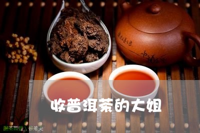 收普洱茶的大姐/2023112615047