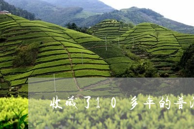 收藏了10多年的普洱茶饼/2023082538682