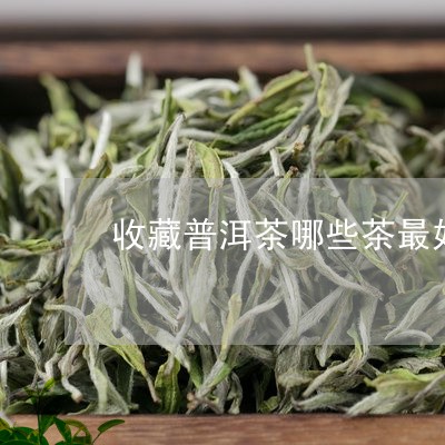 收藏普洱茶哪些茶最好卖/2023081771695