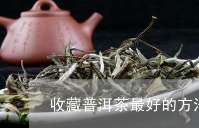 收藏普洱茶最好的方法/2023120636179