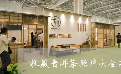 收藏普洱茶照片大全高清/2023102452948