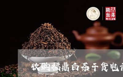 收购福鼎白茶干货电话/2023100115259