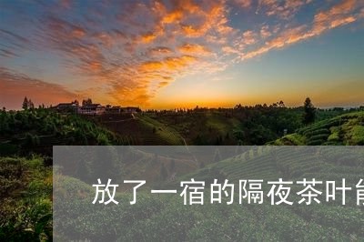 放了一宿的隔夜茶叶能不能喝/2023052666369