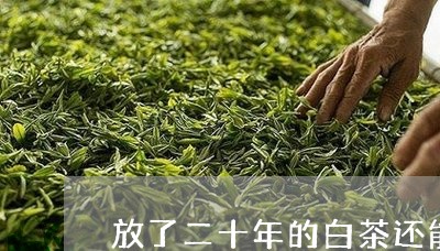 放了二十年的白茶还能喝吗/2023111444738