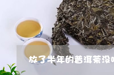 放了半年的普洱茶没味/2023062215147