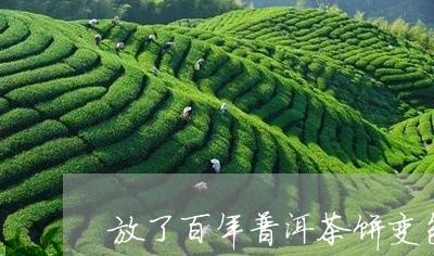 放了百年普洱茶饼变色/2023072428594