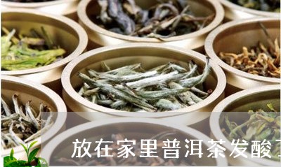 放在家里普洱茶发酸了/2023092903914