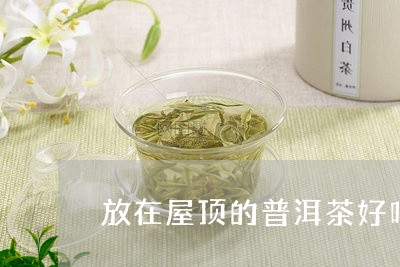 放在屋顶的普洱茶好吗好不好/2023052846278