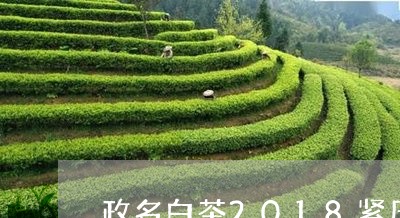 政名白茶2018紧压寿眉盒装/2023111551603