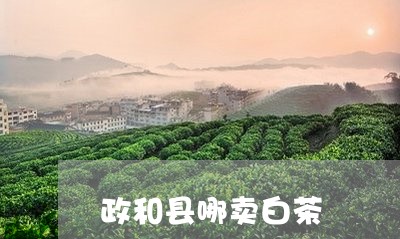 政和县哪卖白茶/2023112408405