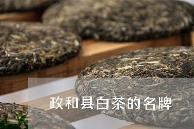 政和县白茶的名牌/2023090859472