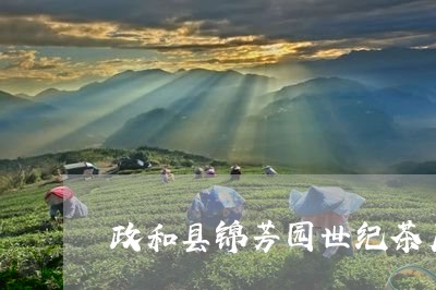 政和县锦芳园世纪茶厂/2023060902518