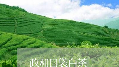 政和口袋白茶/2023051286159