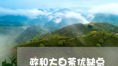 政和大白茶优缺点/2023062003837