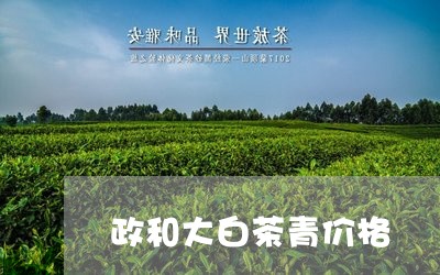 政和大白茶青价格/2023090775262