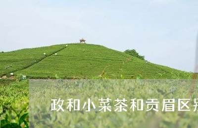 政和小菜茶和贡眉区别/2023092172035