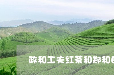 政和工夫红茶和郑和白茶/2023102582514