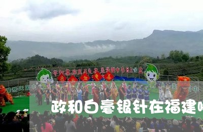 政和白毫银针在福建哪里/2023092382016