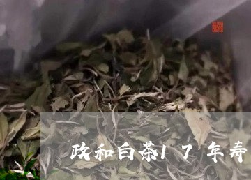 政和白茶17年寿眉250g/2023062847370