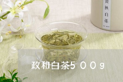 政和白茶500g/2023090736150