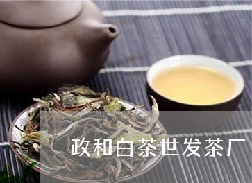 政和白茶世发茶厂/2023120499273