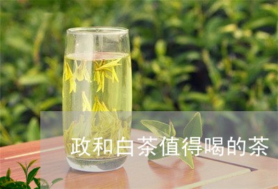 政和白茶值得喝的茶/2023070180684