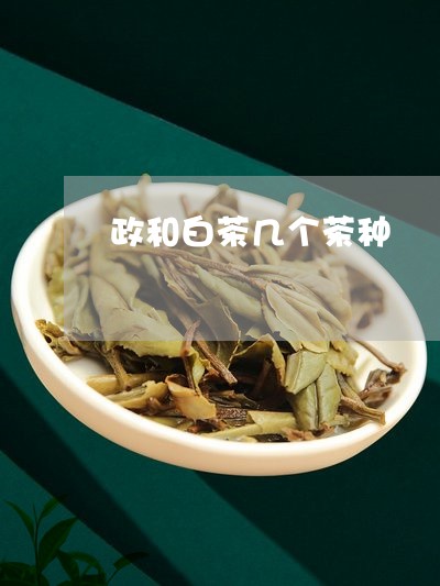 政和白茶几个茶种/2023090837370