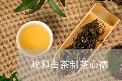 政和白茶制茶心德/2023090858619