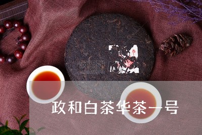 政和白茶华茶一号/2023090816140