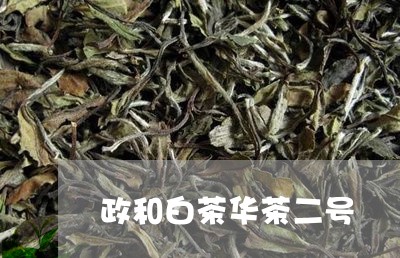 政和白茶华茶二号/2023090729393