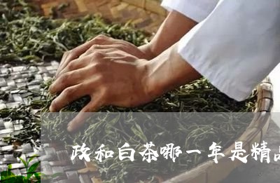 政和白茶哪一年是精品/2023070104960