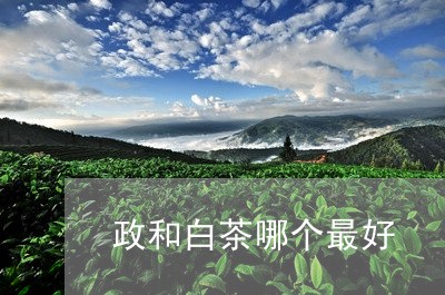 政和白茶哪个最好/2023090726159