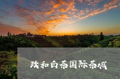 政和白茶国际茶城/2023062131593