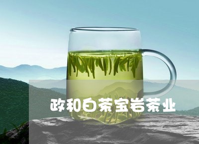 政和白茶宝岩茶业/2023090727171