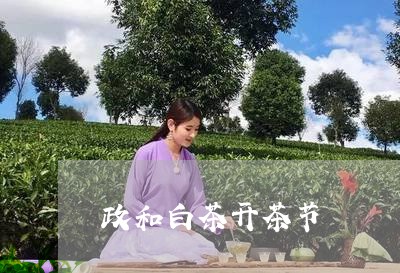 政和白茶开茶节/2023112448261