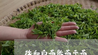 政和白茶散茶干茶/2023111600281