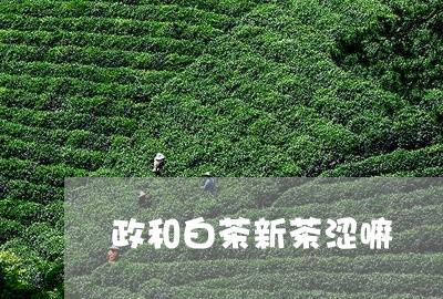 政和白茶新茶涩嘛/2023090771686