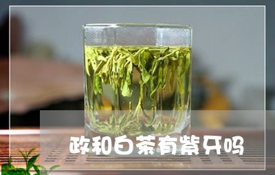 政和白茶有紫牙吗/2023090860595