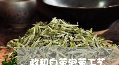 政和白茶泡茶工艺/2023090700584